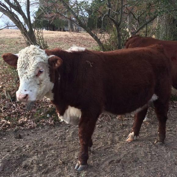 Meet your Posher, Keith - Picture 1 of 1